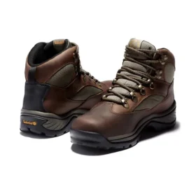 Chocorua Gore-tex laarzen “Bruin”