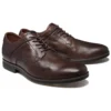 Edgeworth skateschoen “Bruin”
