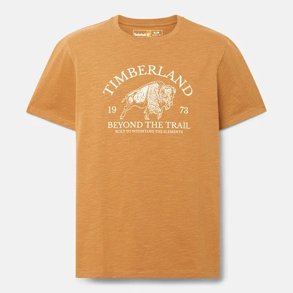 Grafisch T-shirt met korte mouwen voor heren Grafisch T-shirt met korte mouwen voor heren