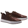Maple Grove Trainer “Bruin”
