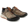 Trailquest “Bruin”
